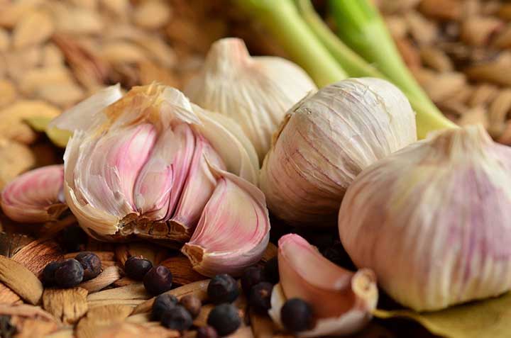 Getting Your Elephant Garlic from Planting to Harvesting 
